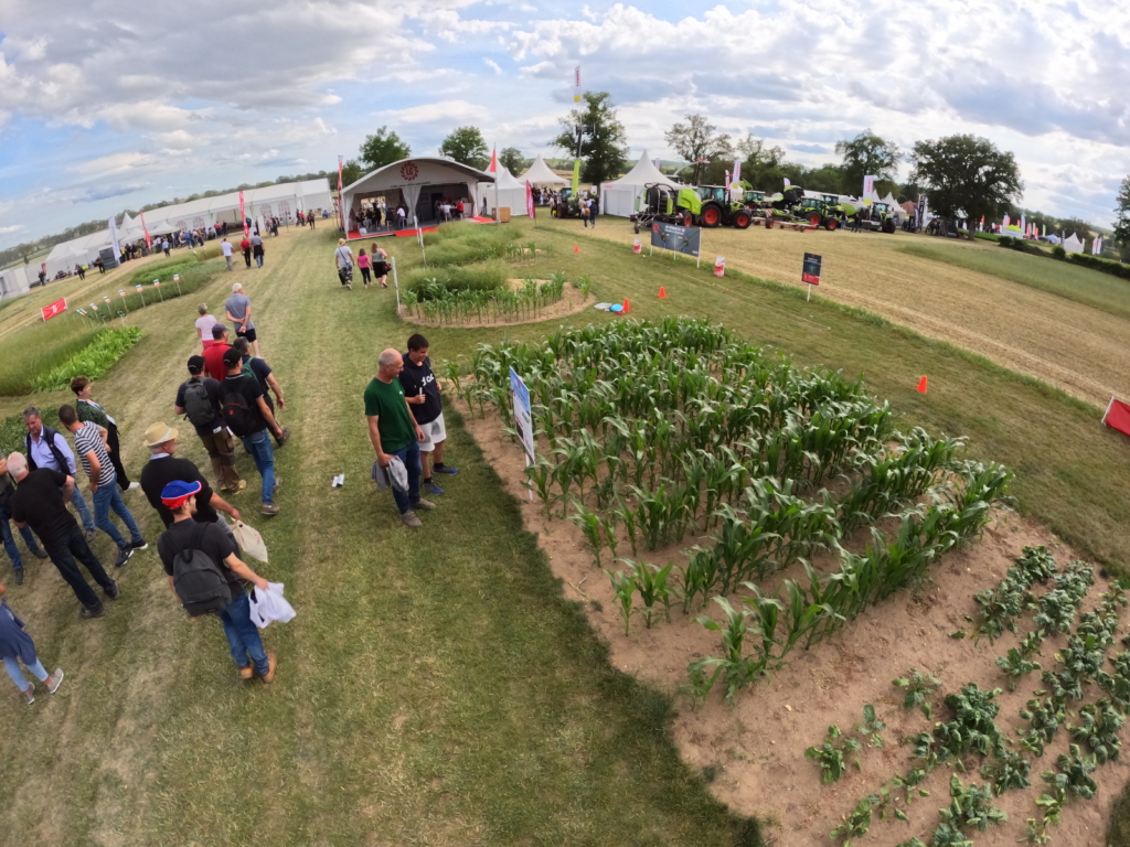 Suite Du Partenariat Avec Le Lyc E Et Le Cfa Du Campus Agricole Et